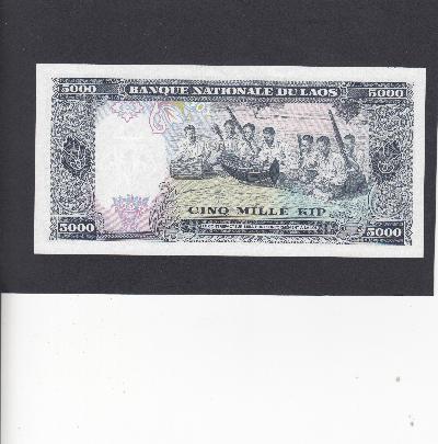 Beschrijving achterzijde: MUSICIANS